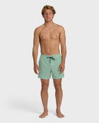 Every Other Day Wave Washed Layback 16 Trunks - Mist Green