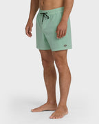 Every Other Day Wave Washed Layback 16 Trunks - Mist Green