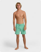 All Day Laybacks 16 Trunks - Lime Green