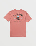 A/Div Agave Tee - Dusty Rose