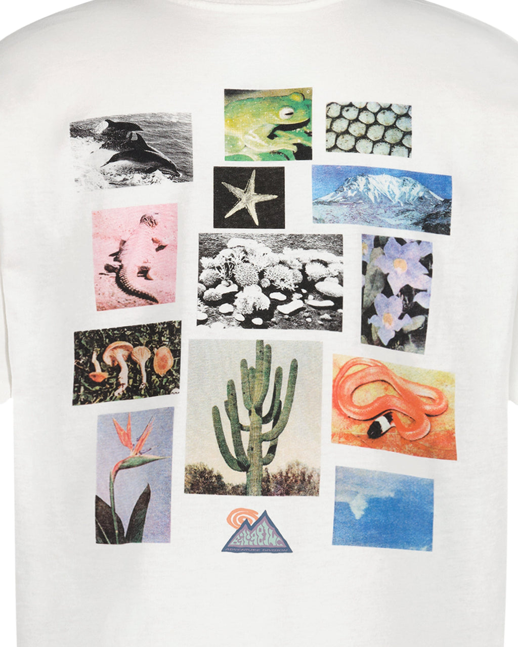 Boys Moments Short Sleeve T-Shirt